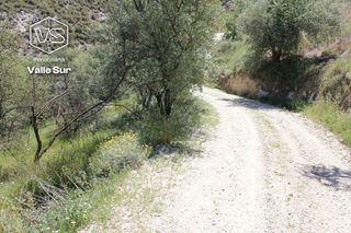 Terreno residencial  Andalucia. Terreno en venta en restábal.