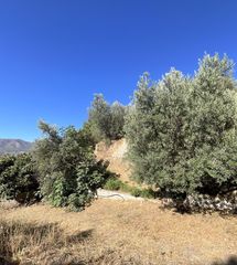Bauernhof  Reina cristina. Cortijo en venta en murchas.