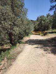 Finca rústica a Lecrín. Terreno en venta en chite.