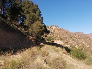 Finca rústica a Pinar (El). Terreno en venta en pinos del valle.