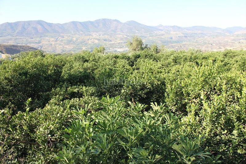 Foto 02eb9d01-c4c7-44f9-b9df-aa9a7833eadc. Terreno residencial terreno en venta en murchas. en Lecrín