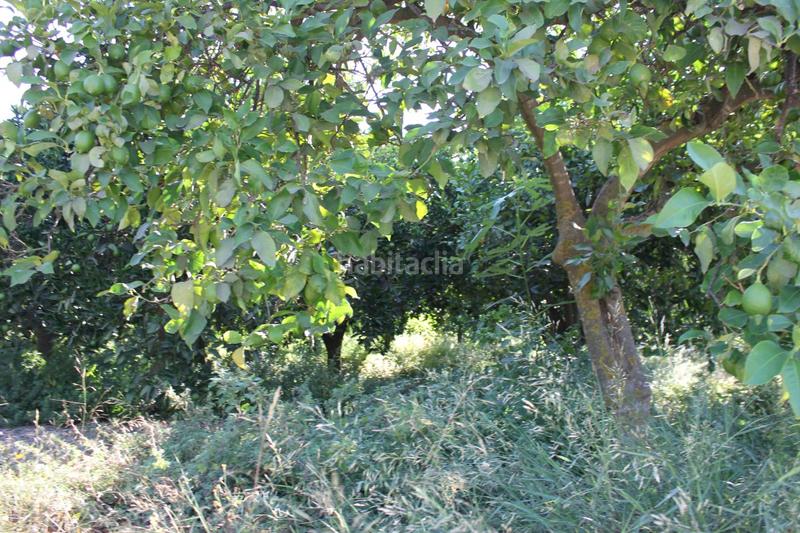 Foto 39e6098f-2d9f-48b7-8f05-5e2ef6a453dc. Terreno residencial terreno en venta en murchas. en Lecrín