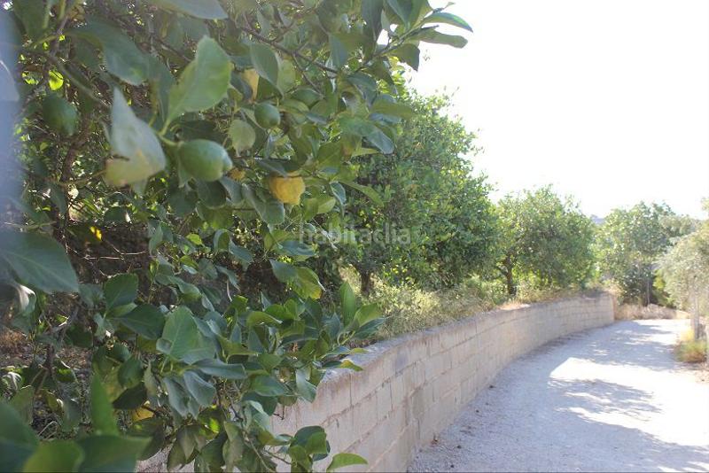 Foto 44b709e8-6673-47de-b37e-03bc586364f3. Terreno residencial terreno en venta en murchas. en Lecrín