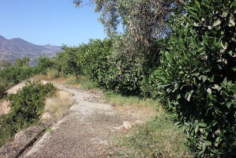 Foto 452d53eb-041c-4644-803a-5588cf5dd158. Terreno residencial terreno en venta en murchas. en Lecrín
