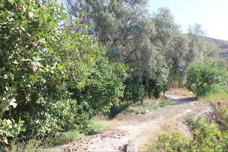 Foto 58f5a8d7-cd80-4b90-96ca-340c2457a895. Terreno residencial terreno en venta en murchas. en Lecrín