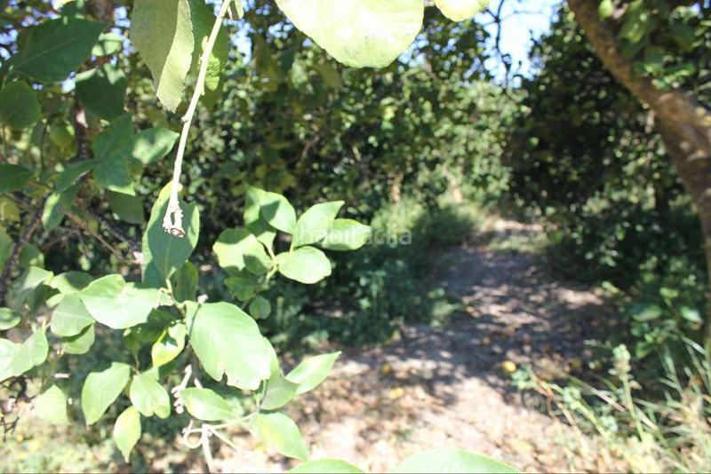 Foto 6123a5a1-9c0d-4375-87b9-e196c8b041c3. Terreno residencial terreno en venta en murchas. en Lecrín