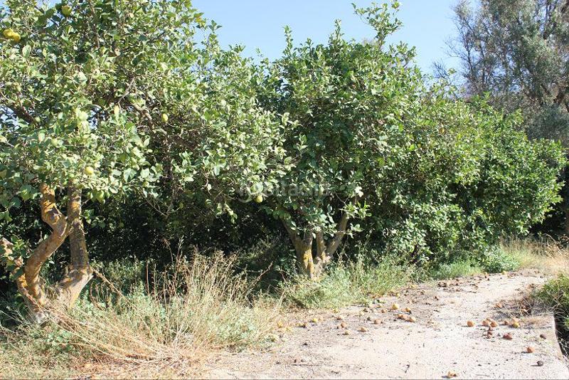 Foto 992c50b9-7e3a-472e-a3eb-8392f0ab9616. Terreno residencial terreno en venta en murchas. en Lecrín