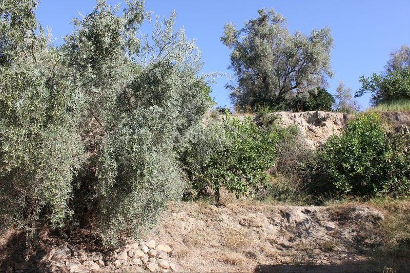 Foto c39e08fa-15a6-4a69-83e6-d524acd24c9f. Terreno residencial terreno en venta en murchas. en Lecrín