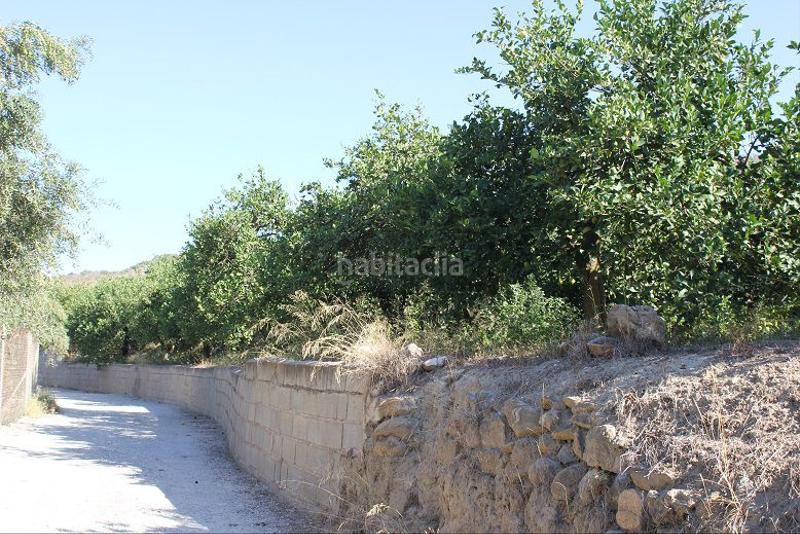 Foto d2ef7dc4-056f-4fa0-9f1a-74f7de7601c8. Terreno residencial terreno en venta en murchas. en Lecrín