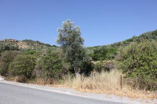 Terreny residencial  Andalucía. Terreno en venta en restábal.