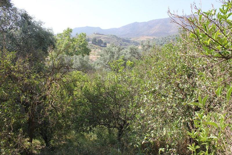 Foto 55b3526f-5311-4830-a7b3-fe0c6e112737. Terreno residencial terreno en venta en restábal. en Valle (El)