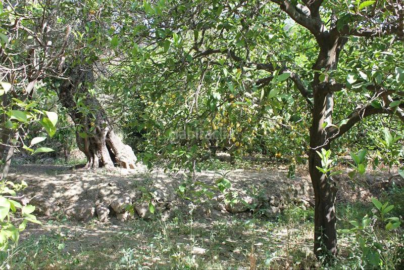 Foto a4dc8e8b-80d0-4d0d-9a3e-dd6e8632002c. Terreno residencial terreno en venta en restábal. en Valle (El)