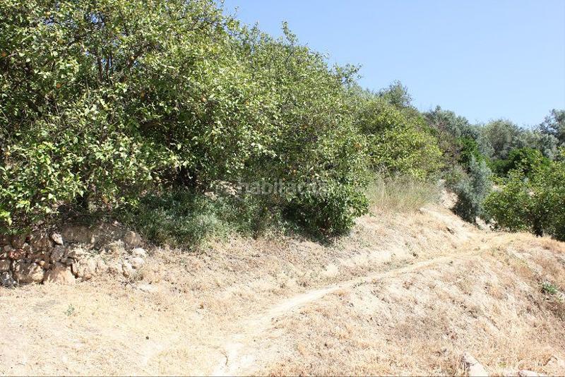 Foto d437ae4c-f126-4c92-9540-dec31ceeef46. Terreno residencial terreno en venta en restábal. en Valle (El)