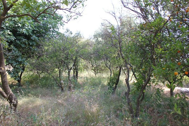 Foto eb7d88c8-6e92-4b87-9f54-b773167cb2cb. Terreno residencial terreno en venta en restábal. en Valle (El)