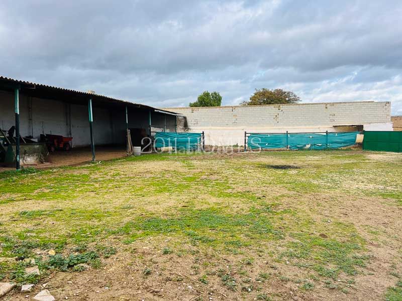Foto a2241ba1-5800-4854-9587-f74cf25532ec. Industrial building in Roda de Andalucía (La)
