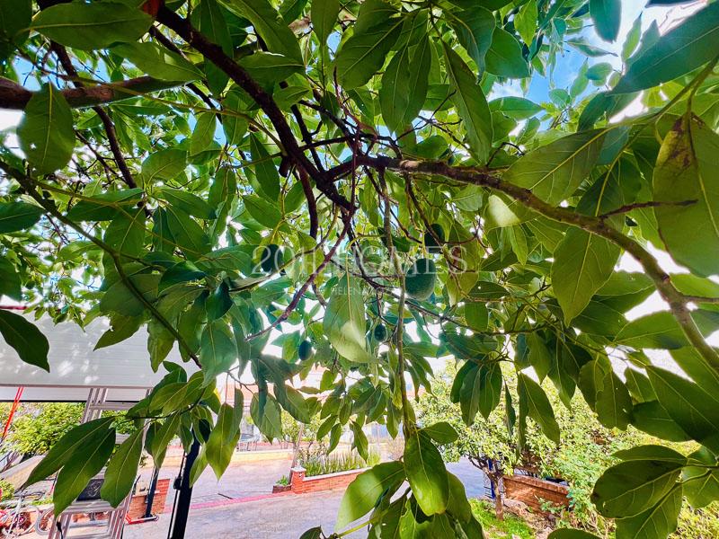 Foto 96eebc37-3a97-45a8-8eeb-b8a854f19e0b. Xalet amb aparcament piscina a Pinos de Alhaurín Alhaurín de la Torre