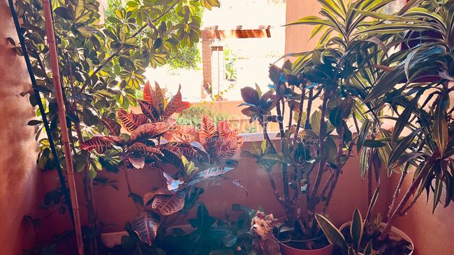 Foto 69ff6098-0567-4422-83a4-f805d68ed258. Apartament a calle topacio 8 a Riviera del Sol Mijas