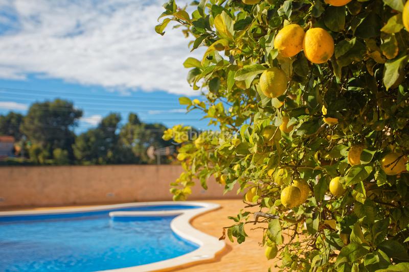 Foto 5386acfe-01bc-432b-b62c-7ff5a1193b88. Chalet avec chauffage piscine dans Piera