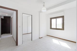 Pis  Avinguda de catalunya. Piso en venta en av. catalunya