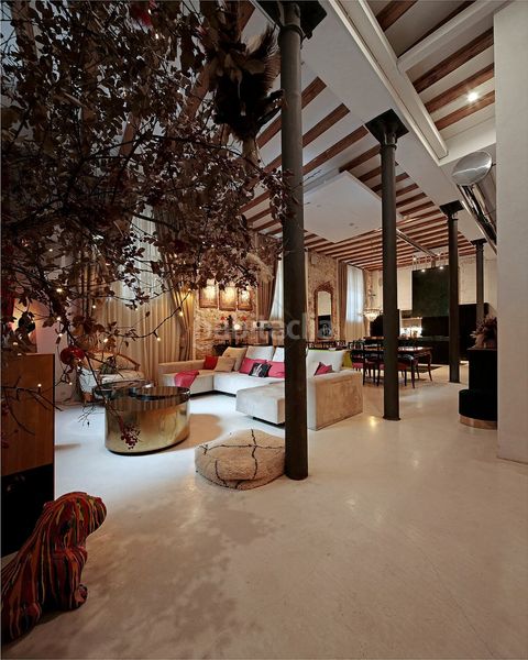 Foto 85922b3a-44a1-4234-8348-884136a3d69d. Loft a Gòtic Barcelona