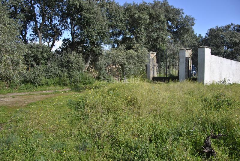 Foto 432c7916-3e41-4a73-8e06-073add029b9f. Chalet mit kamin parking pool in Malpartida de Plasencia