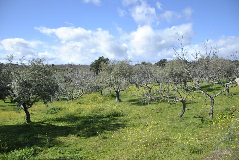 Foto 49e1acf2-1925-49f2-891b-788a3241dd8a. Chalet mit kamin parking pool in Malpartida de Plasencia