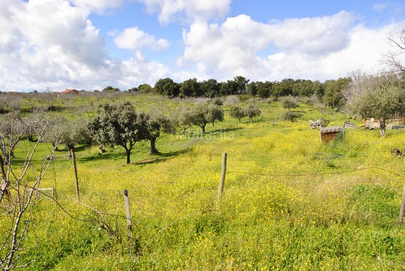 Foto 9f79e286-78ea-469a-b777-4b16af045ebe. Chalet mit kamin parking pool in Malpartida de Plasencia