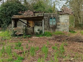 Casa  N/a. Casa para restaurar en venta con terreno de 4000 m2