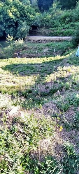 Foto 48dfdee1-bc8a-4ee2-a113-890cb96b0ff8. Parking coche garaje en venta en ribadetea en Ponteareas