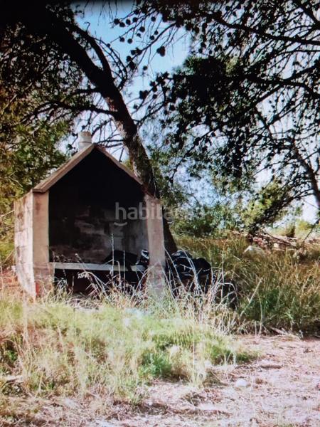 Foto 3bcf7e90-9da6-4bba-9e41-14adbfc4fc70. Fondo rustico in Xixona