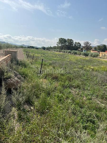 Foto 6b61b99c-4ee6-4471-a9e5-1354df3abf7d. Fondo rustico in Xixona