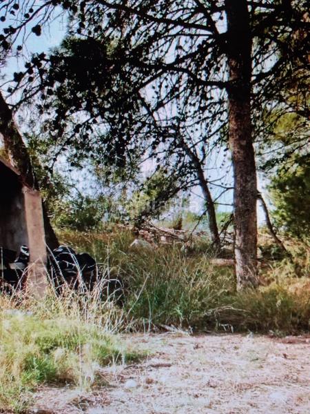 Foto 757b03c5-3fab-41c2-8602-6dc6bfa61f11. Fondo rustico in Xixona