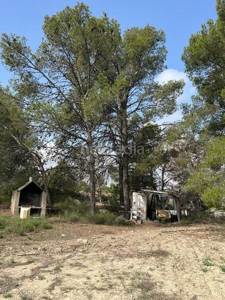 Foto 79c7c216-3b95-40a9-87ab-a1c0a1c5e13f. Fondo rustico in Xixona