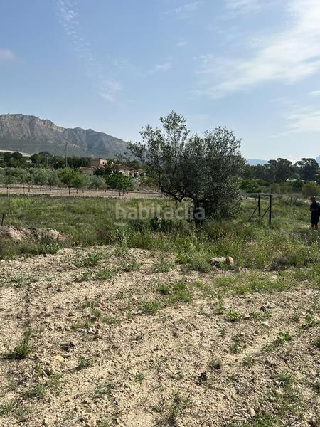 Foto b31eb01f-de11-4bb2-b629-2d9cfac9df5a. Fondo rustico in Xixona