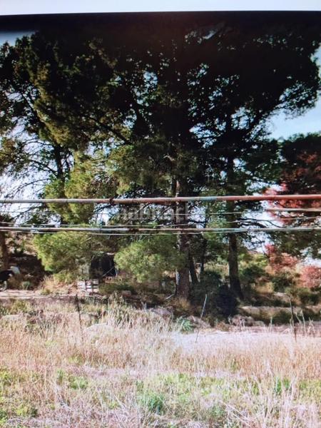 Foto c03b27da-8c93-435f-aaf0-b403fcaee191. Fondo rustico in Xixona