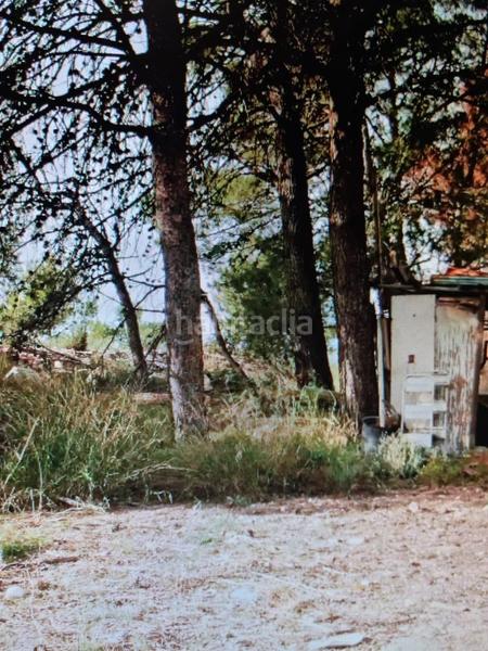 Foto c24dee64-8469-466c-b0c5-e0515d5aafeb. Fondo rustico in Xixona