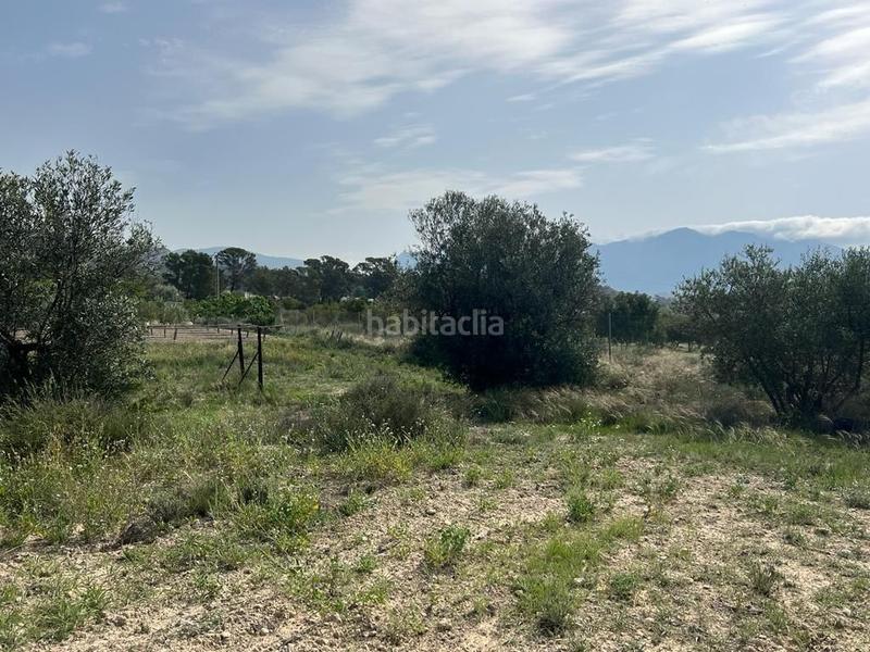 Foto fdf1c50b-72d3-4927-98ab-1f55f1537032. Fondo rustico in Xixona