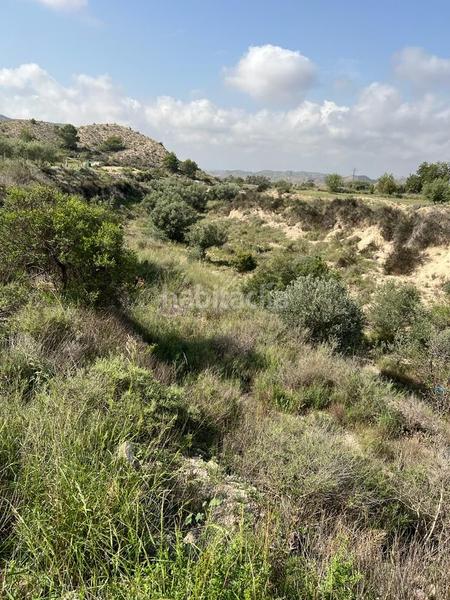 Foto 2578879f-bf3c-47a7-9126-4fd44ba22335. Finca rústica a Xixona