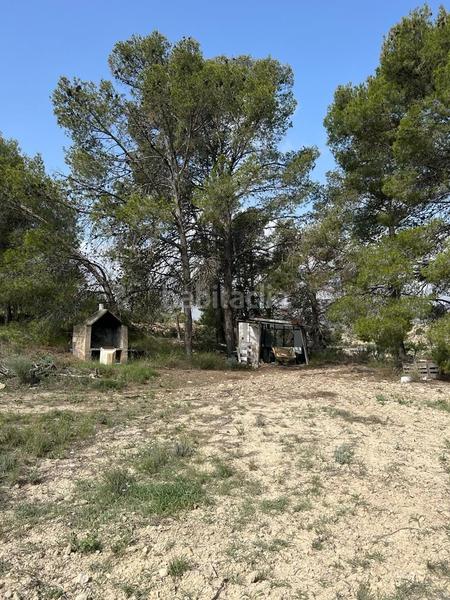 Foto 7c812864-1833-4c22-970e-ce937be994ca. Finca rústica a Xixona