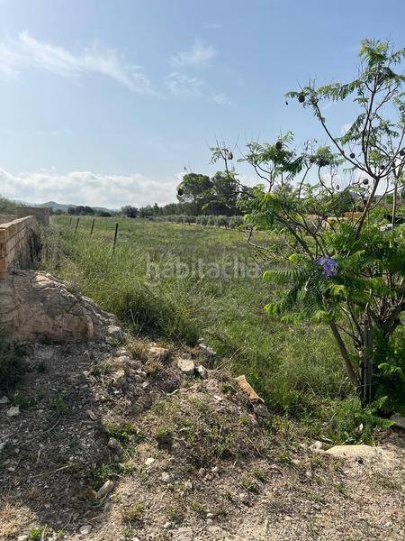 Foto 82f4bec0-9607-4e02-a65e-9a447d521898. Finca rústica a Xixona