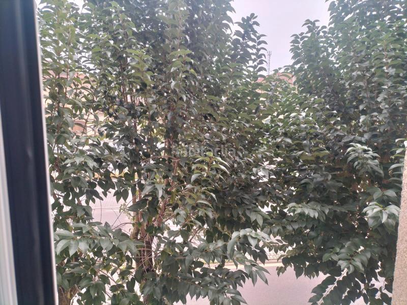 Foto 8938f32a-2bcc-417e-9be5-598d02808fff. Rent flat with heating in San Rosendo Ourense
