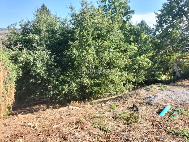 Foto 9ba2aa98-4c13-4c4a-8c31-0ea34273af1d. Terreny residencial a San Rosendo Ourense