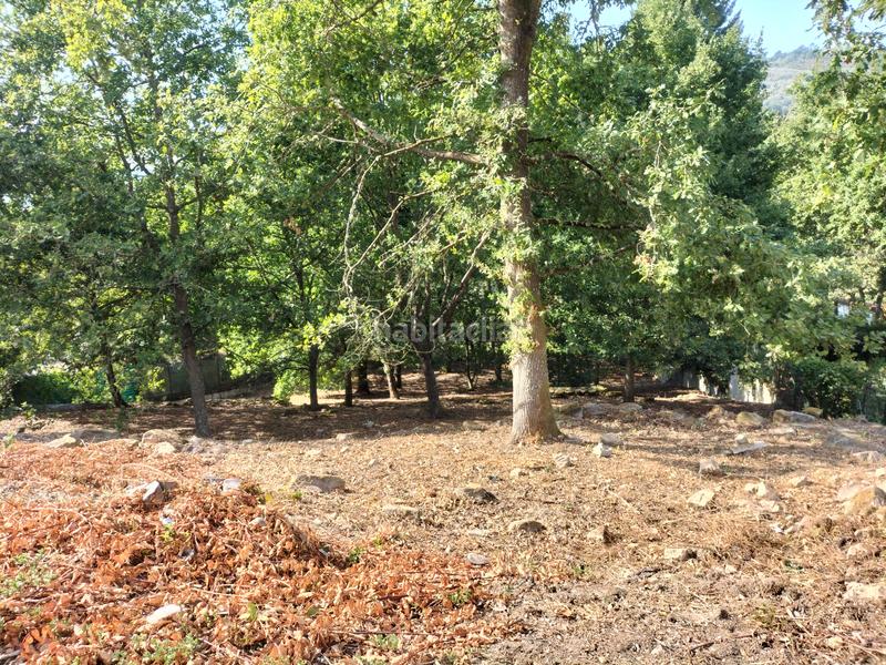 Foto c49d936e-f191-4905-81c7-e5d5cabf3d6f. Terreny residencial a San Rosendo Ourense