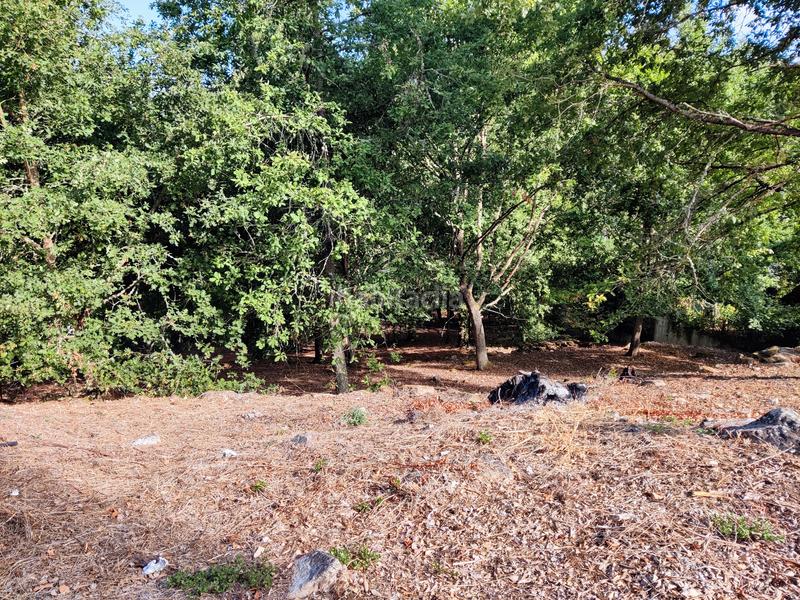 Foto df6e8954-e6b0-4fdc-9239-0532157d77da. Terreny residencial a San Rosendo Ourense