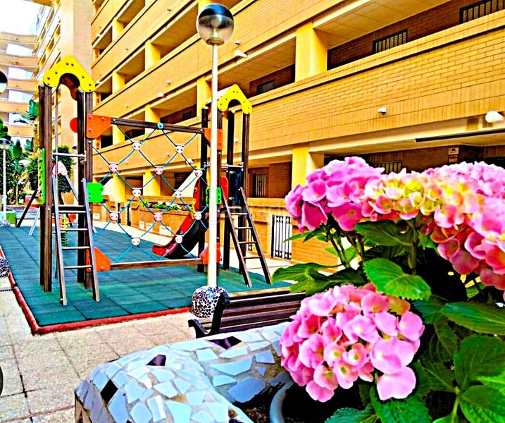 Foto ac59efe4-0344-4615-8307-31ac0253cb37. Pis a avenida central 40 a Costa Caribe Oropesa del Mar