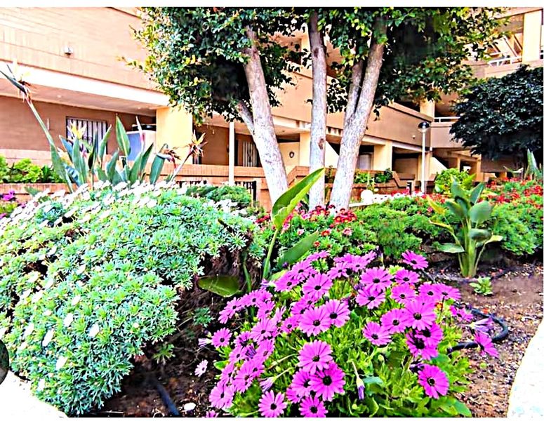 Foto a20748ac-bd9f-430a-864a-f27d7736155c. Piso en avenida central 40 en Costa Caribe Oropesa del Mar