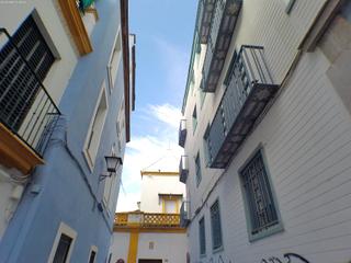 Alquiler Piso en San Bartolomé. Luz, confort y ubicación tu nuevo hogar en el centro de sevilla