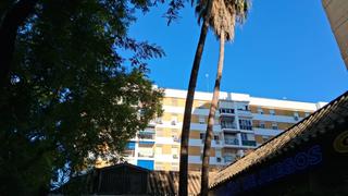 Pis a El Plantinar - Avda. La Paz - El Juncal. Gran oportunidad en el plantinar  vivienda luminosa con potencia