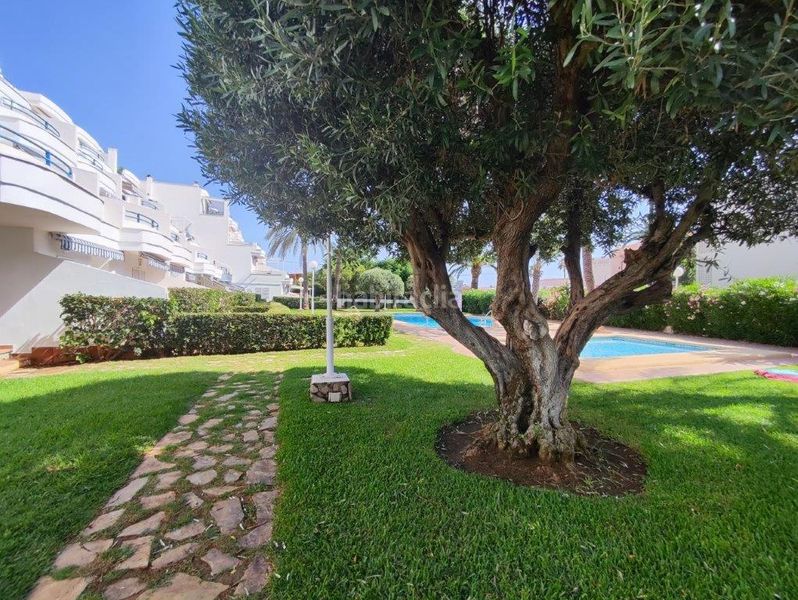 Foto 08c6b795-6032-46c9-858d-d963a8647072. Apartament amb calefacció aparcament piscina a El Palmar - Los Molinos Dénia