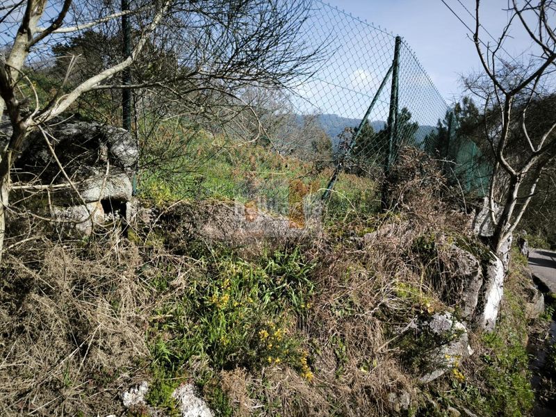 Foto 822ee9cf-a06e-47b7-85e0-8665d5be8d0c. Terreno residencial en Darbo Cangas